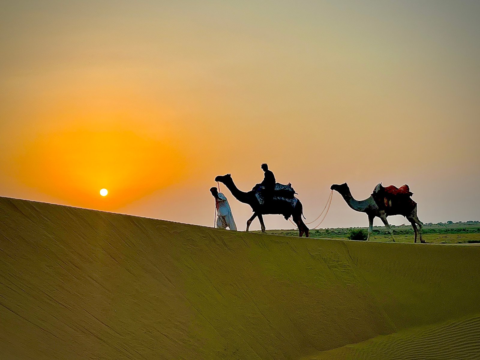Camel caravan crossing the golden dunes near Dangri Desert Camp at sunset